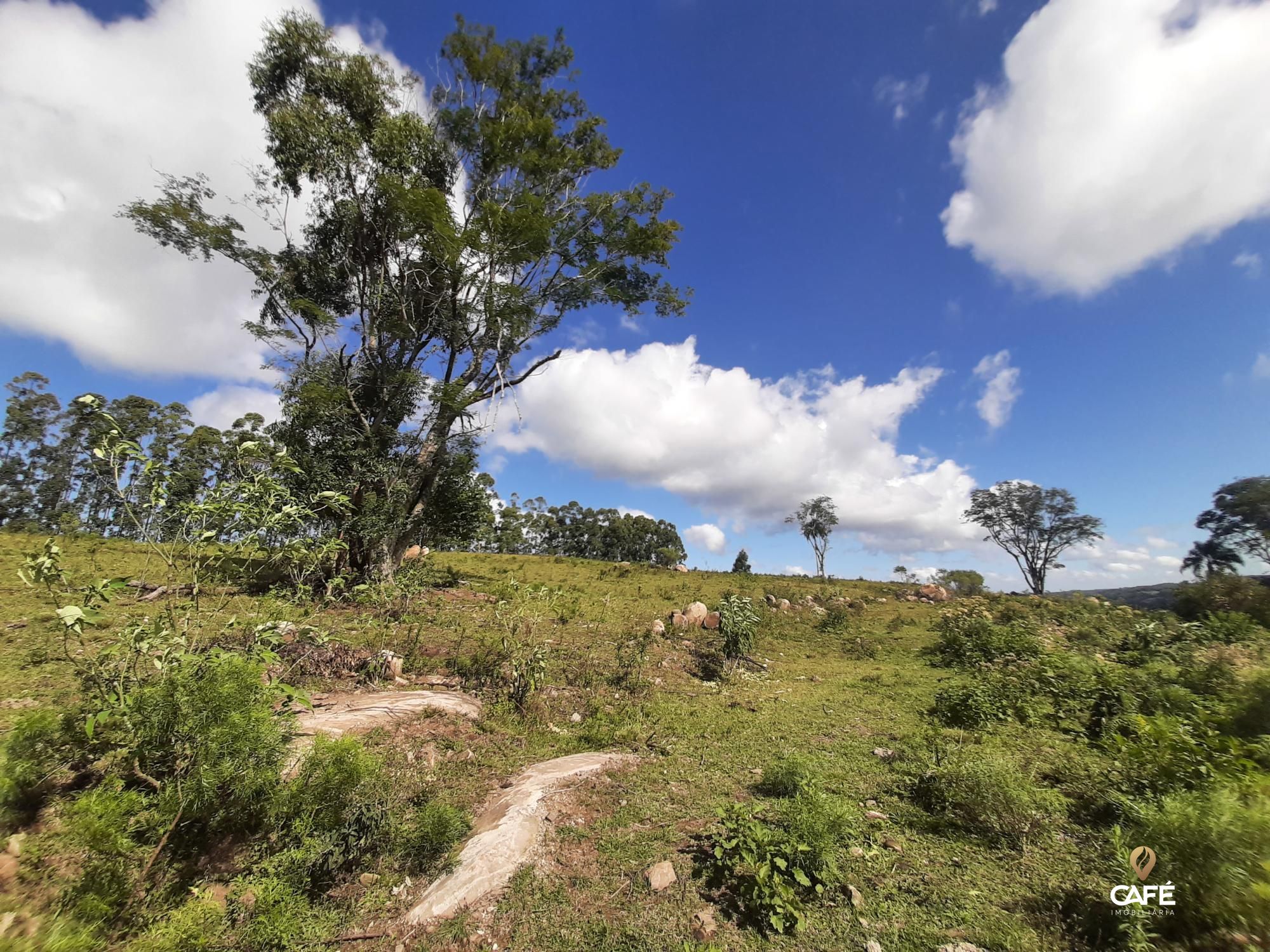 Loteamento e Condomínio à venda, 400000000m² - Foto 1