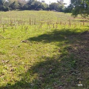 Fazenda à venda, 350000000m² - Foto 8