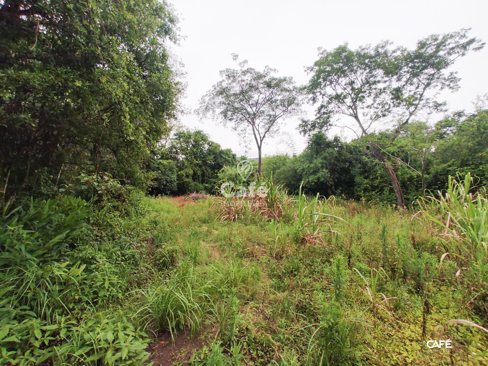 Terreno, 2534 m² - Foto 5