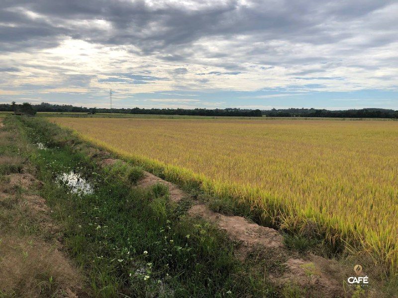 Loteamento e Condomínio, 1600000 hectares - Foto 2