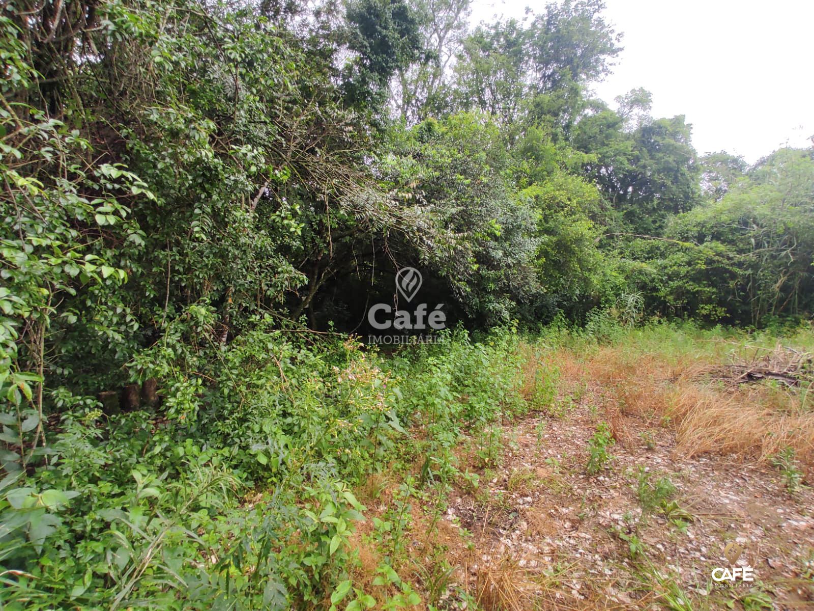 Terreno, 2534 m² - Foto 8