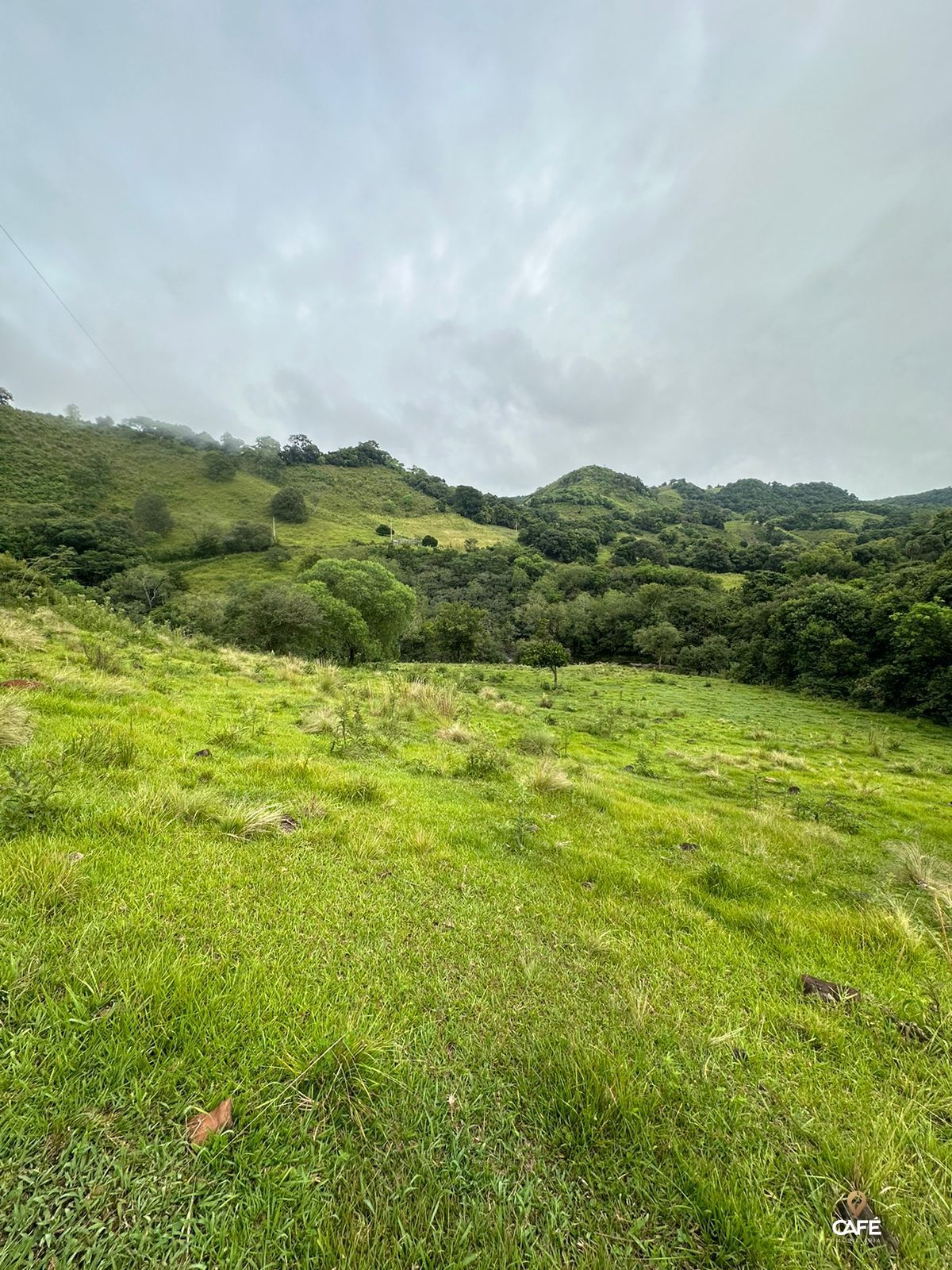 Fazenda à venda, 483000000m² - Foto 1