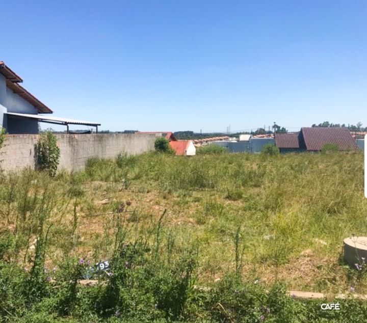 Terreno à venda, 250m² - Foto 1