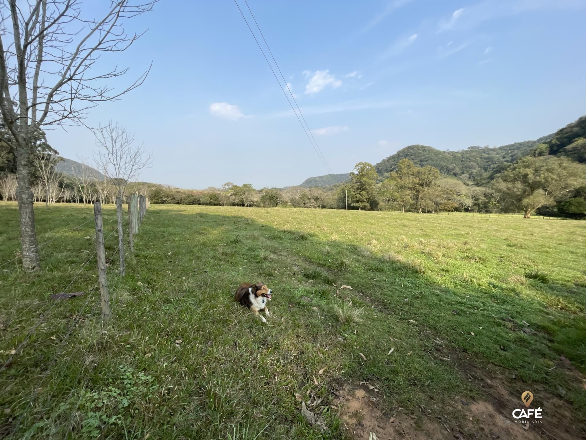 Fazenda à venda com 4 quartos, 240000m² - Foto 51