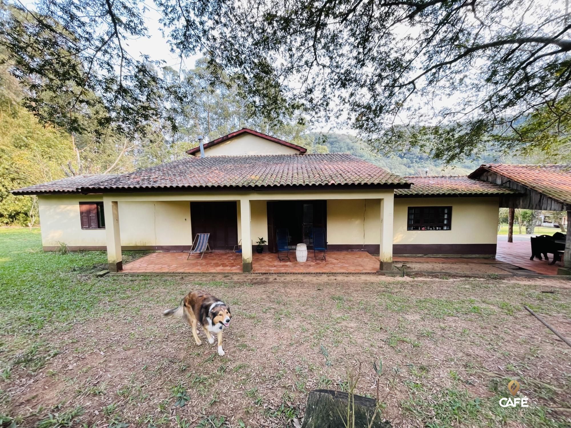 Fazenda à venda com 4 quartos, 240000m² - Foto 1