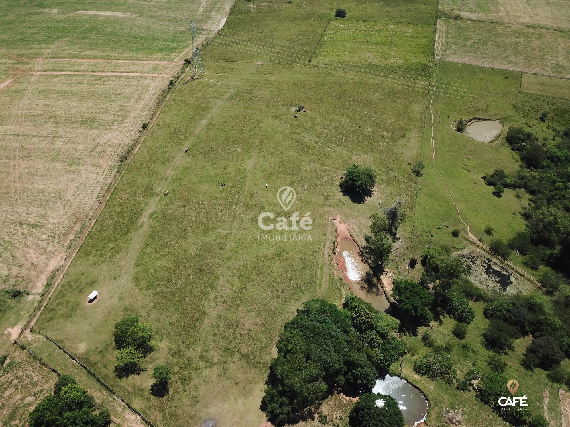 Fazenda à venda com 2 quartos, 180000m² - Foto 6