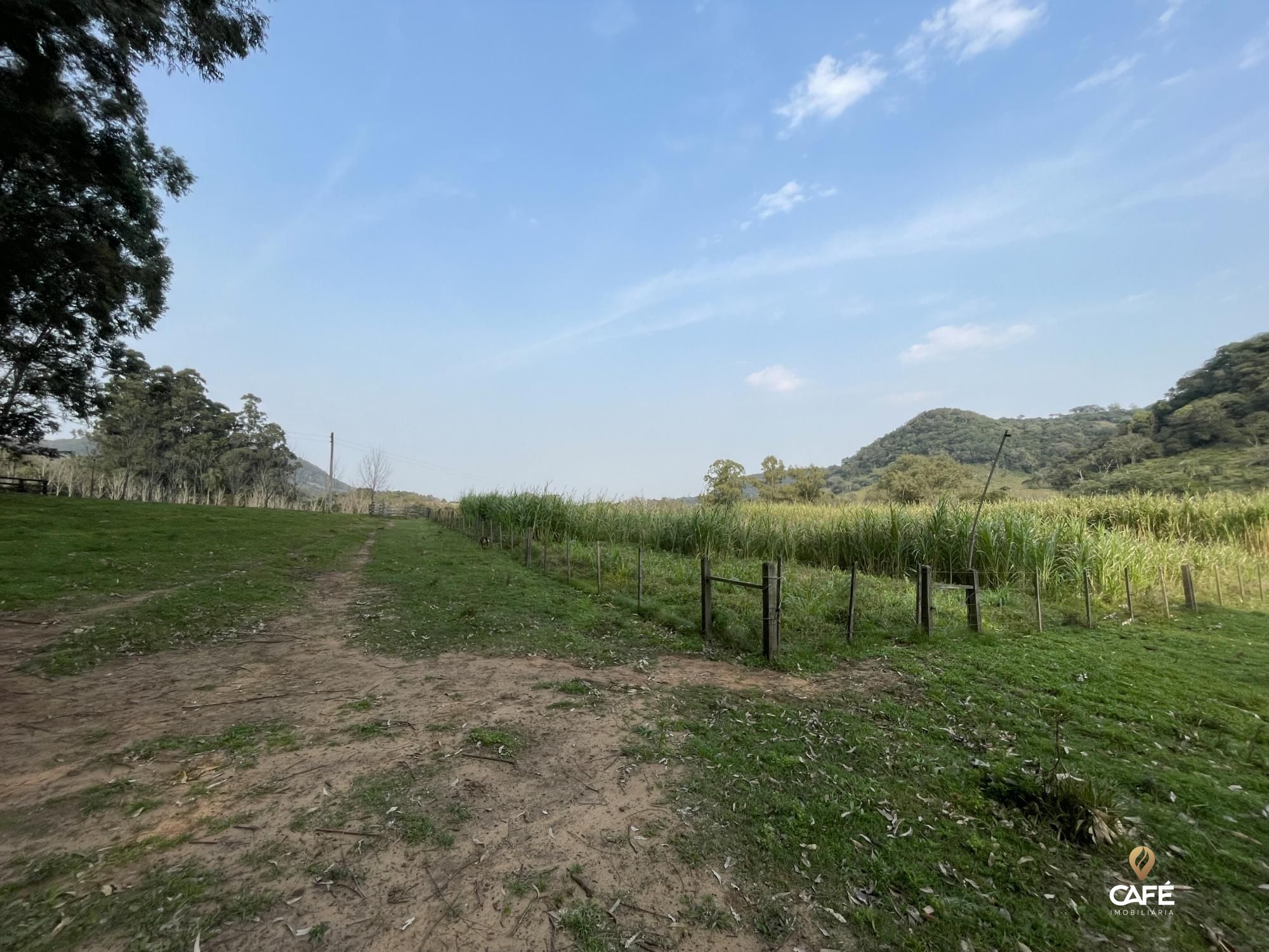 Fazenda à venda com 4 quartos, 240000m² - Foto 46