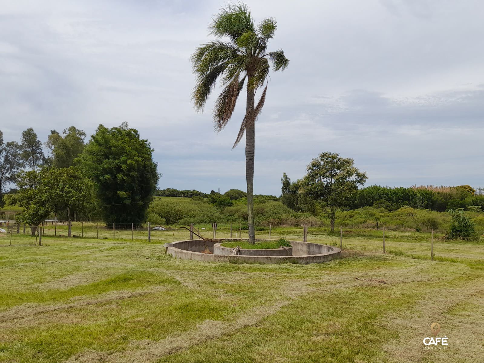 Fazenda-Sítio-Chácara, 3 hectares - Foto 4