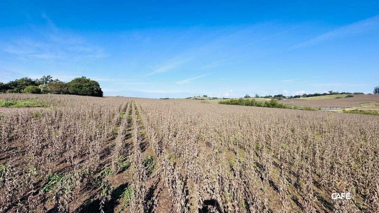 Loteamento e Condomínio à venda, 19000000000m² - Foto 2