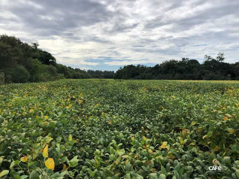 Loteamento e Condomínio, 1600000 hectares - Foto 3