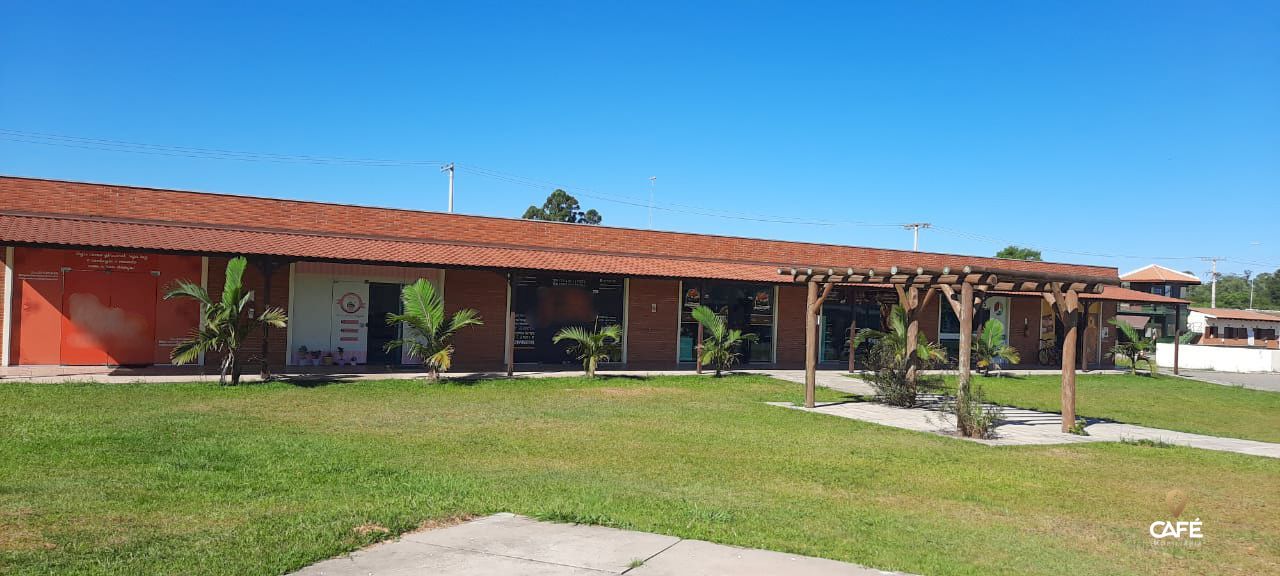 Apartamento, 3 quartos, 64 m² - Foto 1