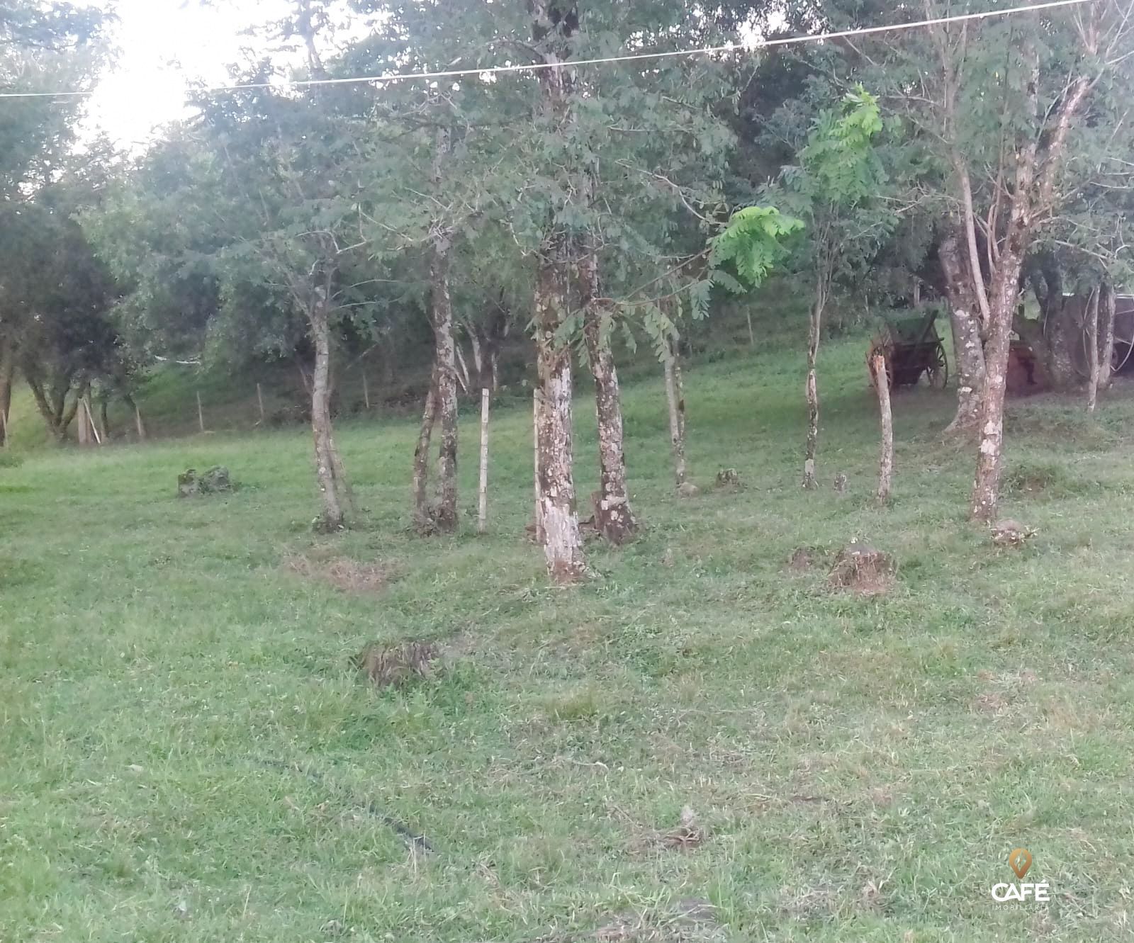 Fazenda à venda com 2 quartos, 100m² - Foto 13