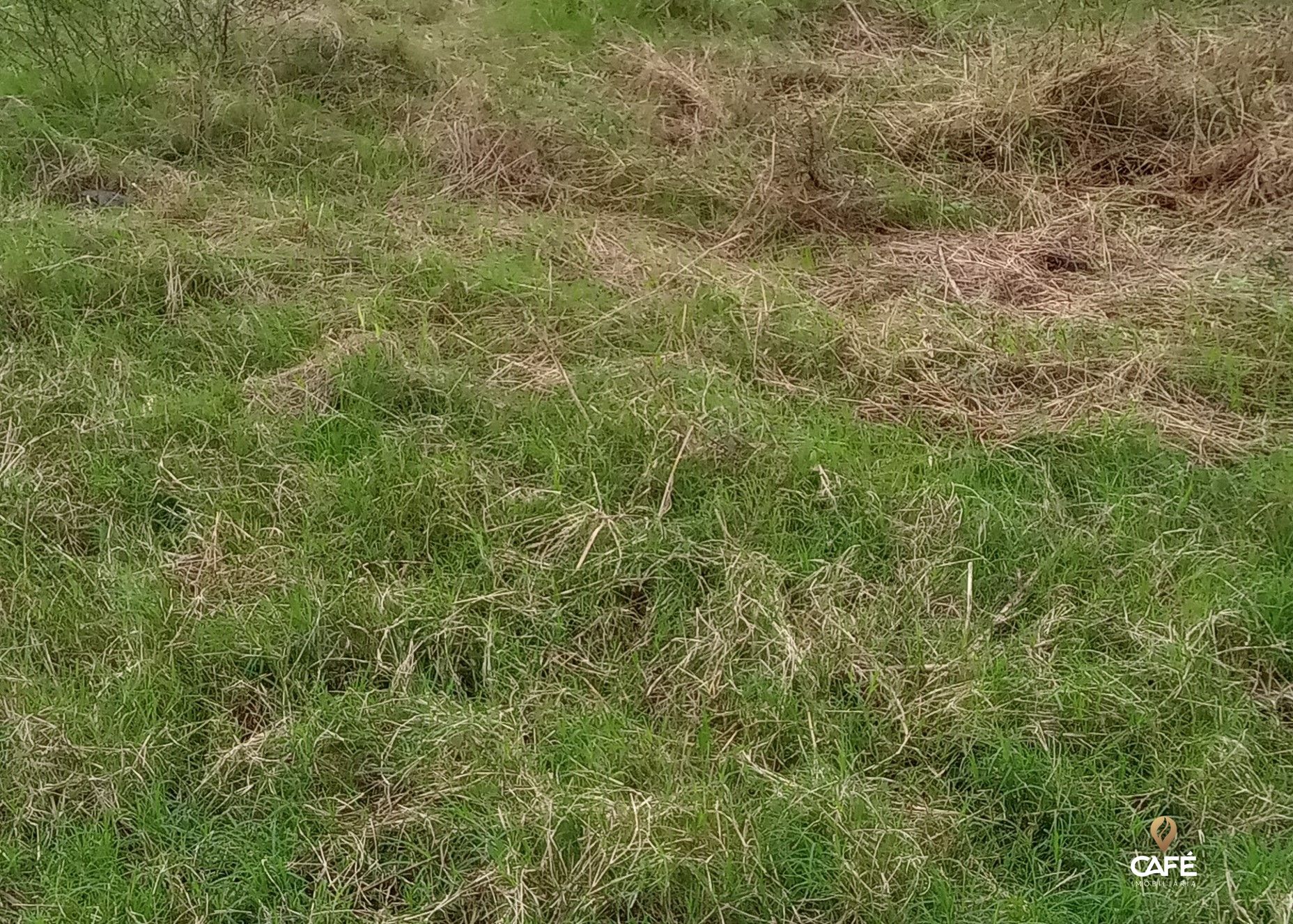 Loteamento e Condomínio, 1520000 hectares - Foto 20