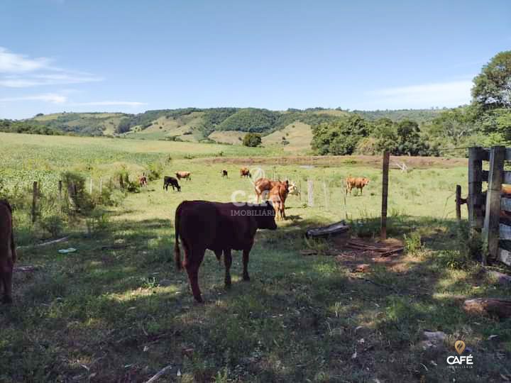 Loteamento e Condomínio à venda, 13000m² - Foto 3