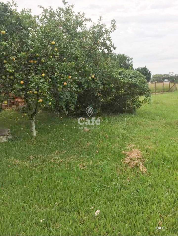 Fazenda à venda com 4 quartos, 108m² - Foto 4