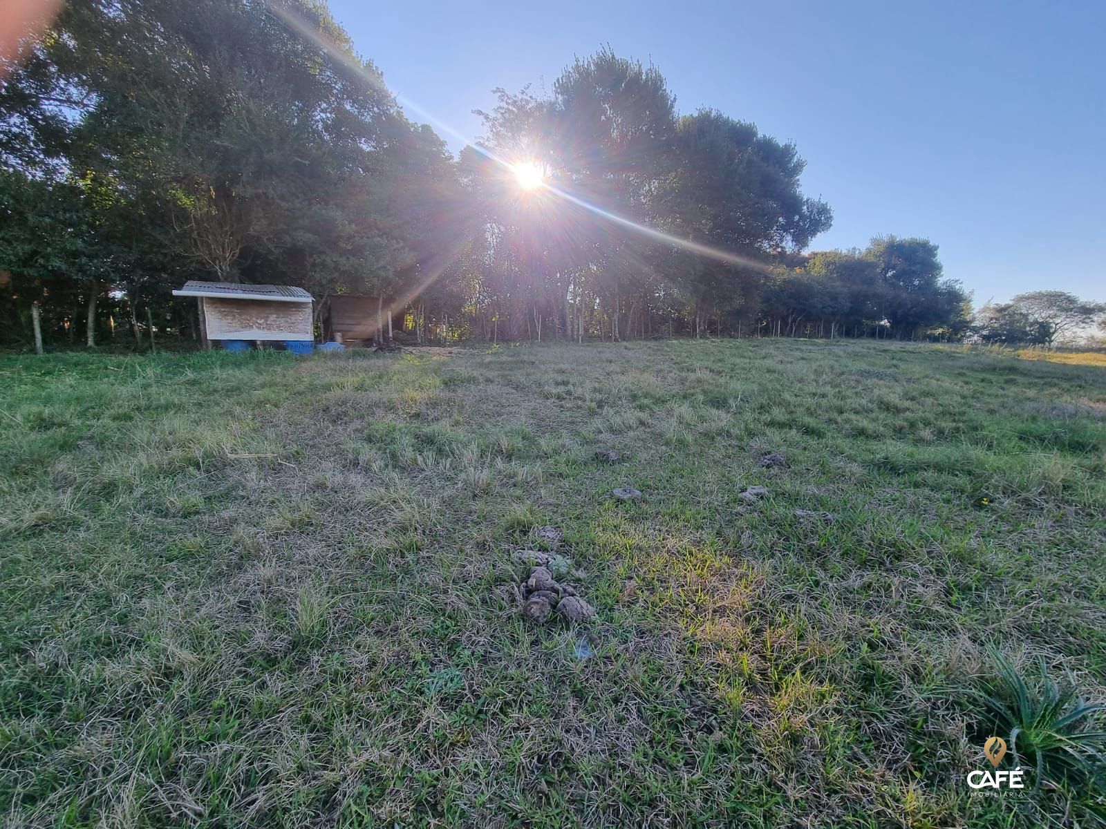 Terreno, 7000 m² - Foto 4