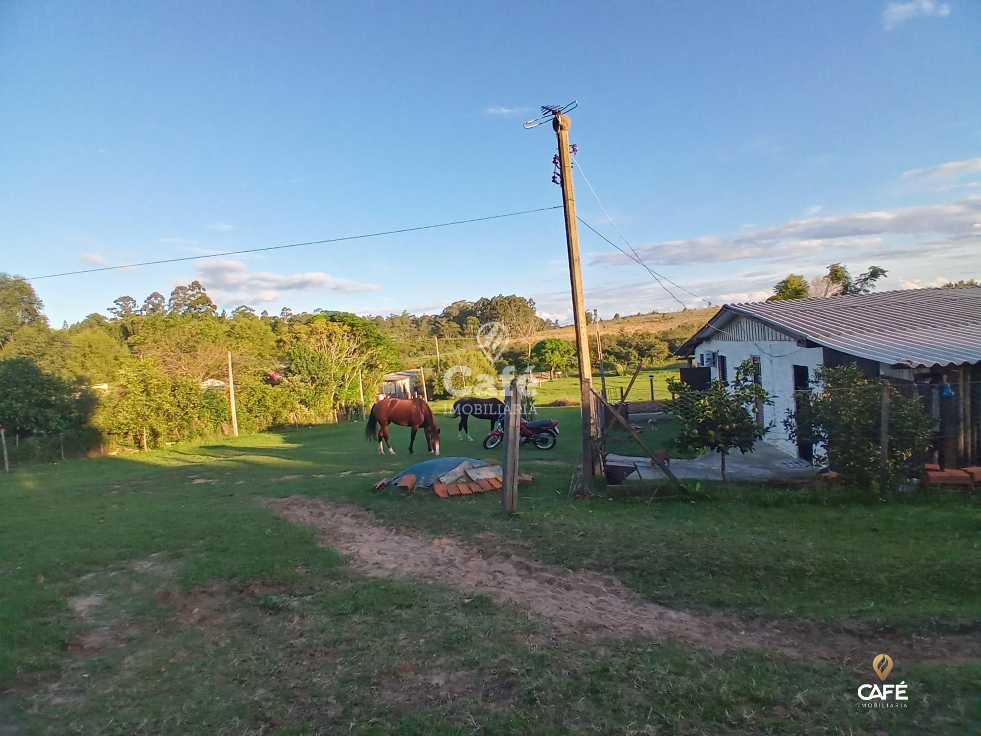 Fazenda à venda com 2 quartos, 350000000m² - Foto 11