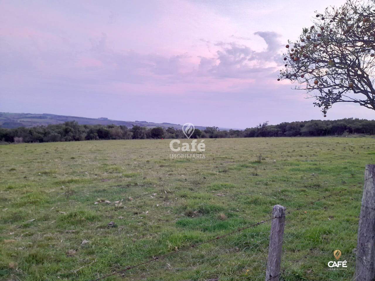 Fazenda-Sítio-Chácara, 6 hectares - Foto 2