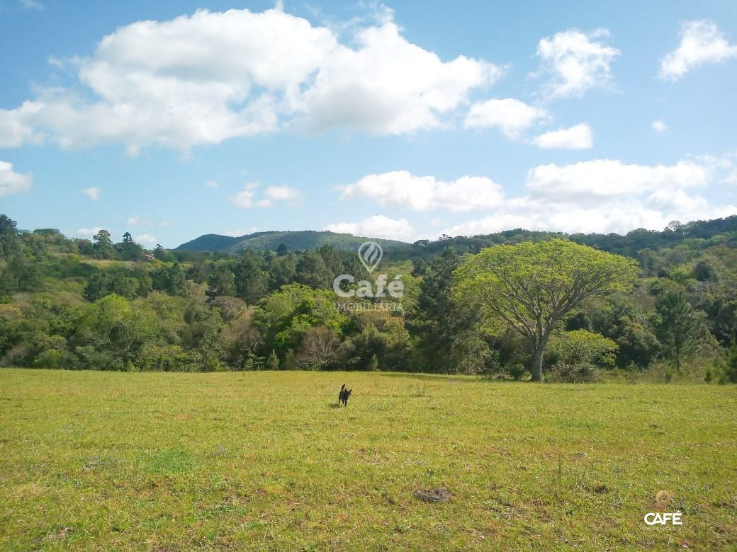 Terreno à venda, 20000m² - Foto 3