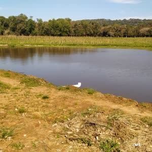 Fazenda à venda, 350000000m² - Foto 2