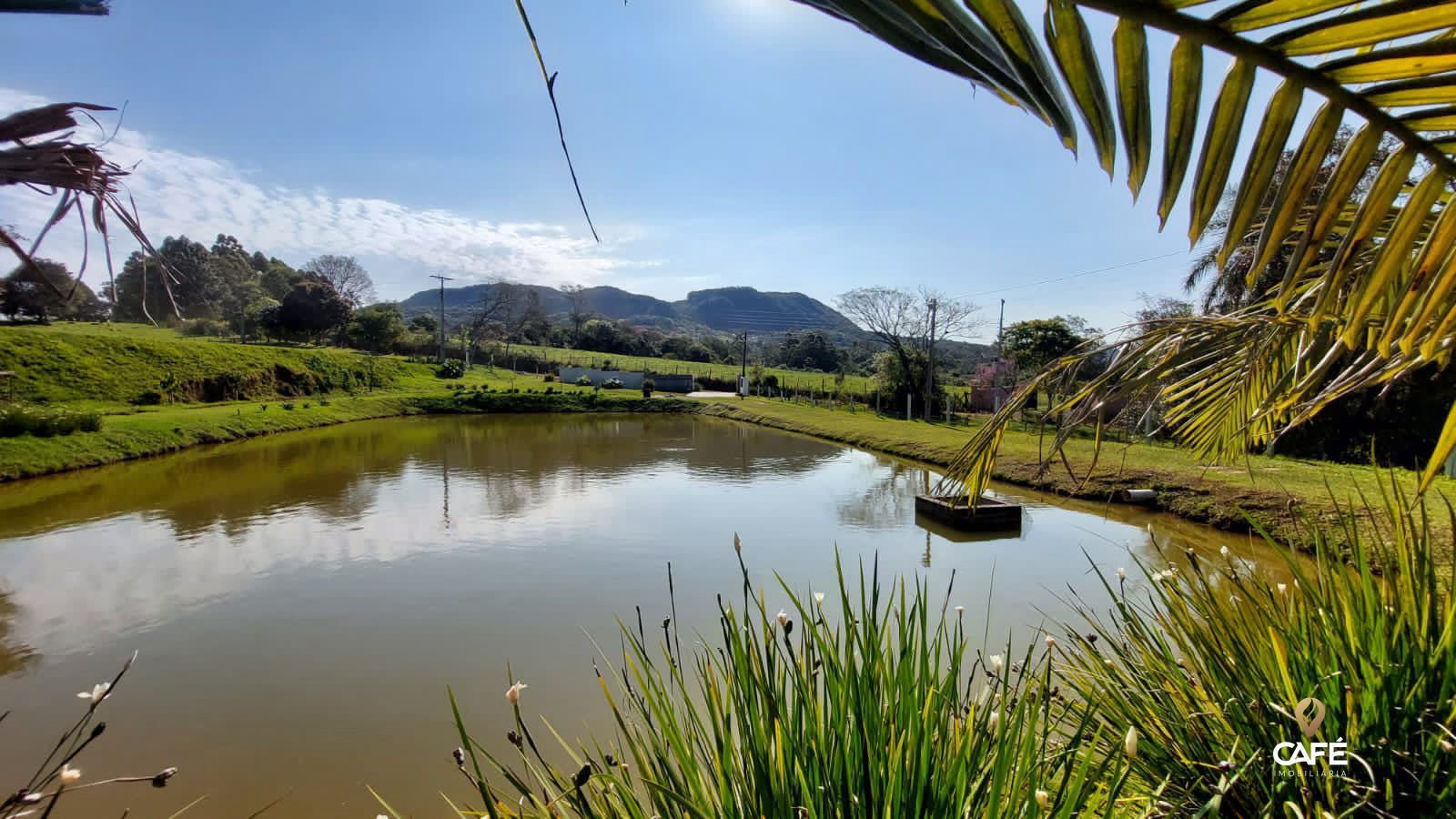 Fazenda à venda com 3 quartos, 190m² - Foto 20