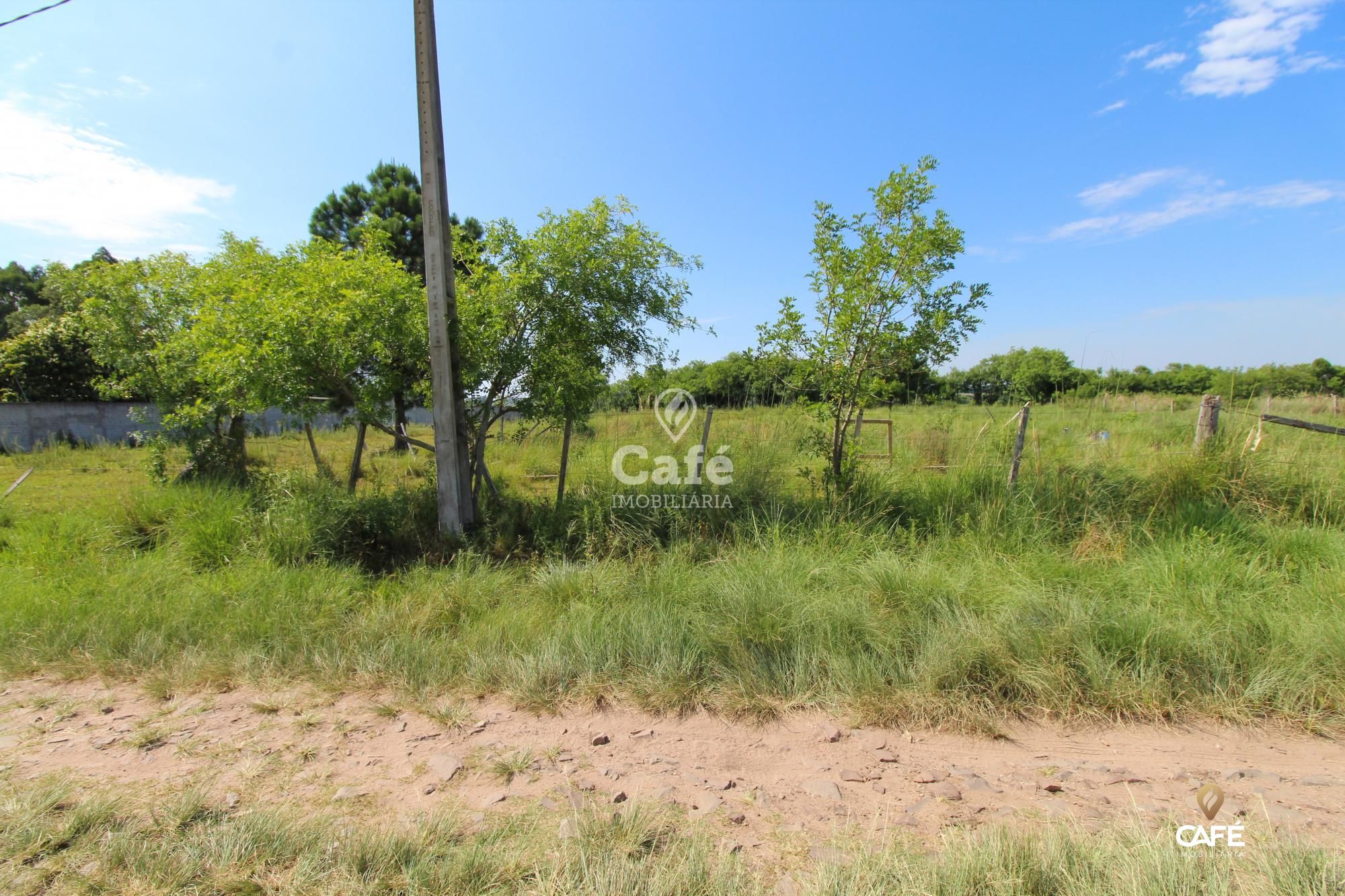Terreno, 1 hectares - Foto 8
