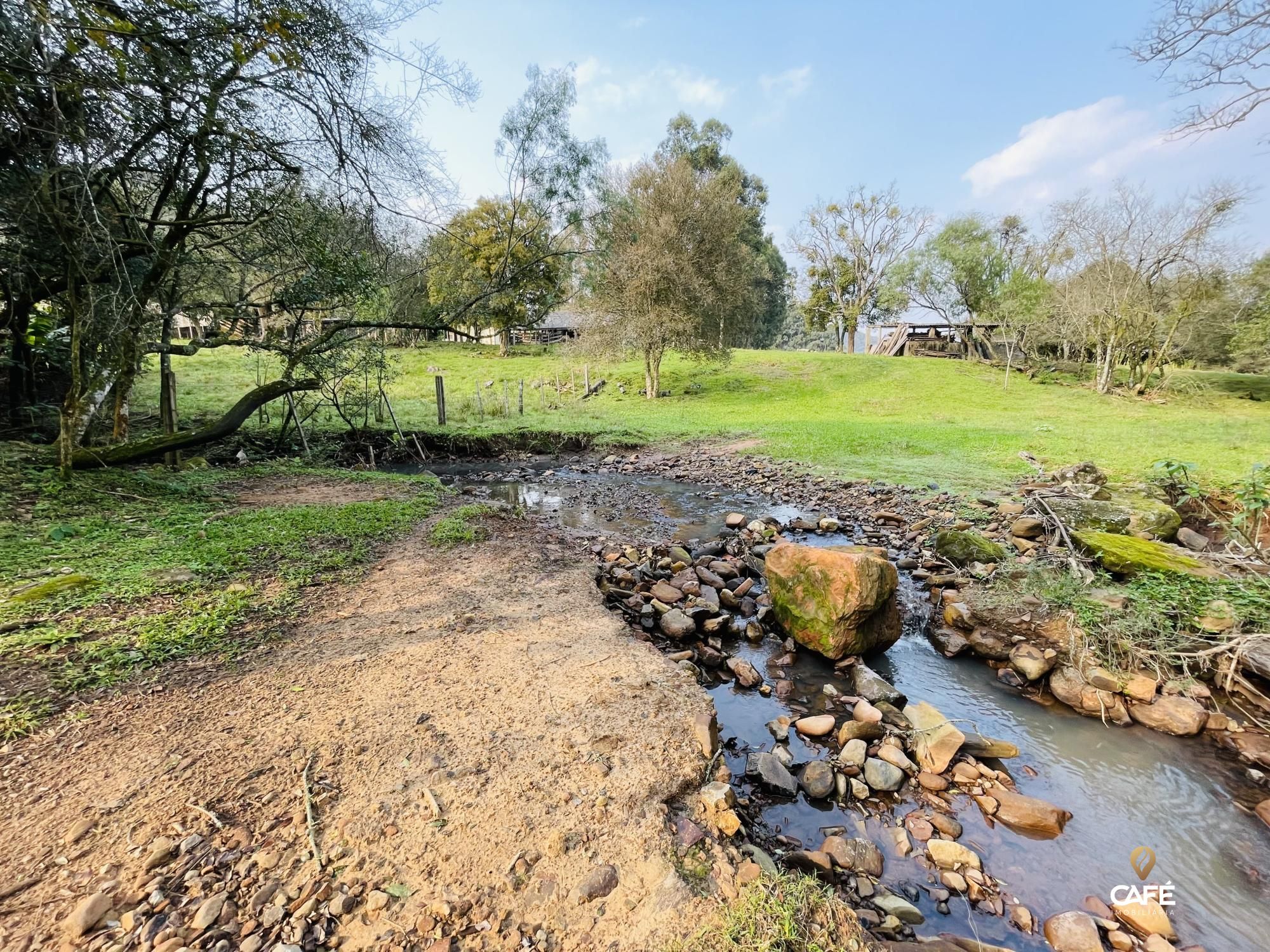 Fazenda à venda com 4 quartos, 240000m² - Foto 39