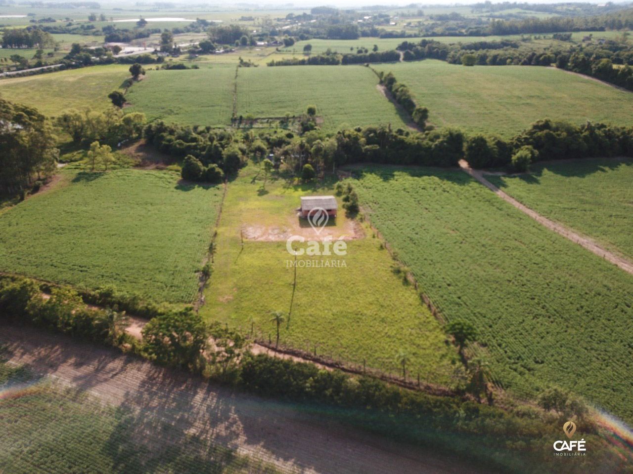 Terreno à venda, 10000m² - Foto 4