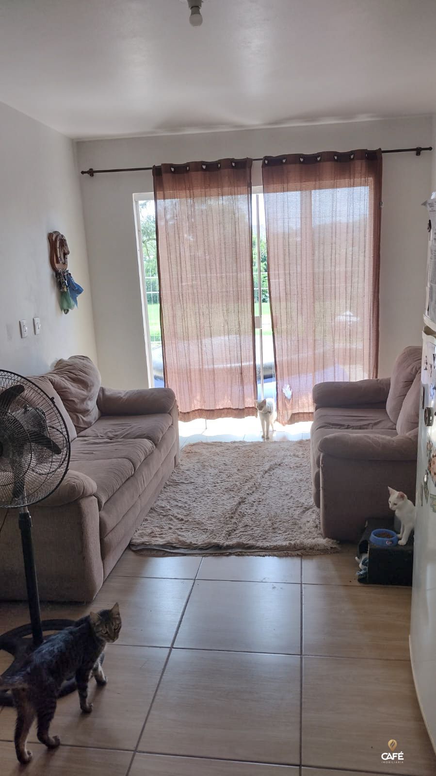 Casa, 4 quartos, 70 m² - Foto 3