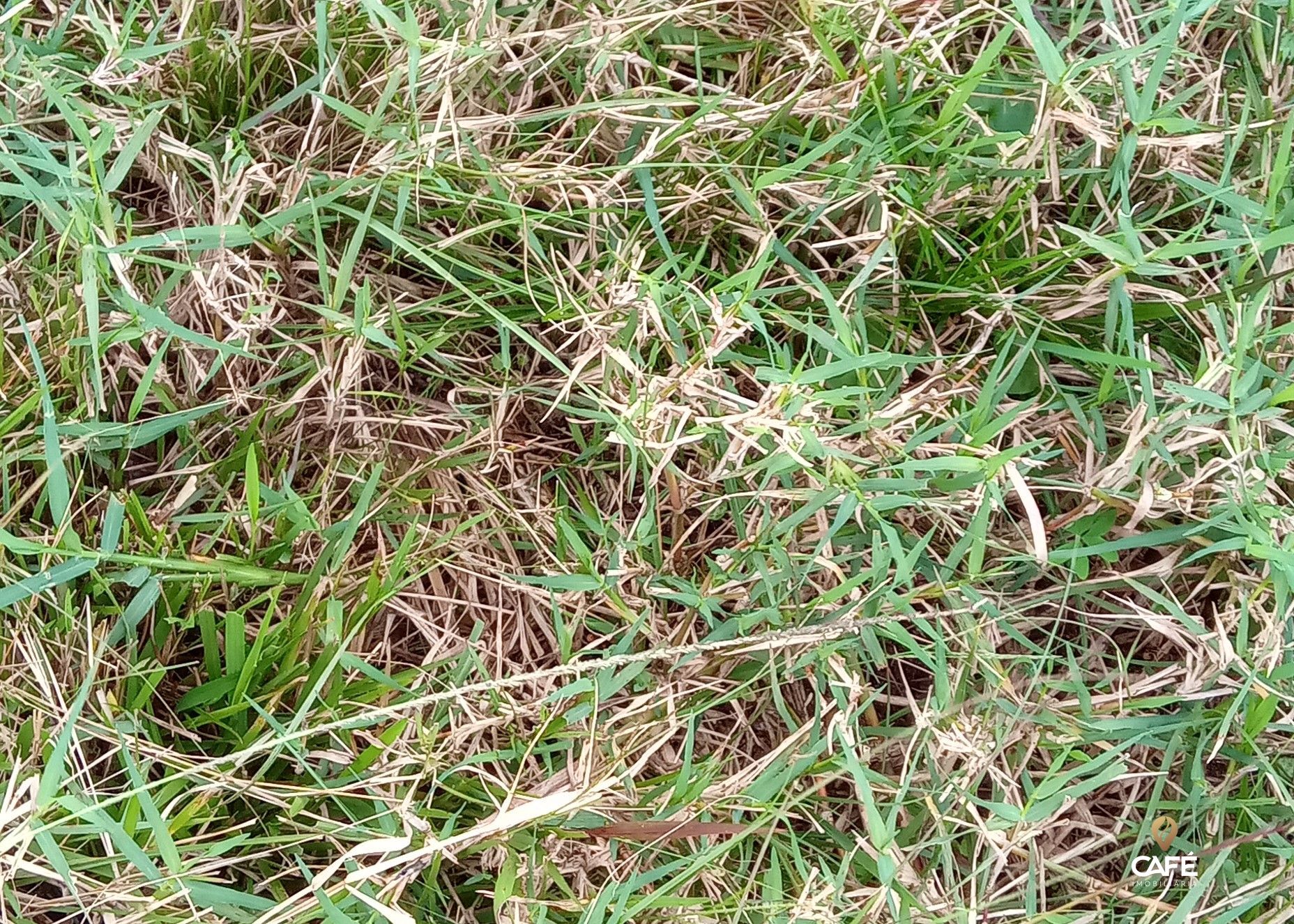 Loteamento e Condomínio, 1520000 hectares - Foto 6