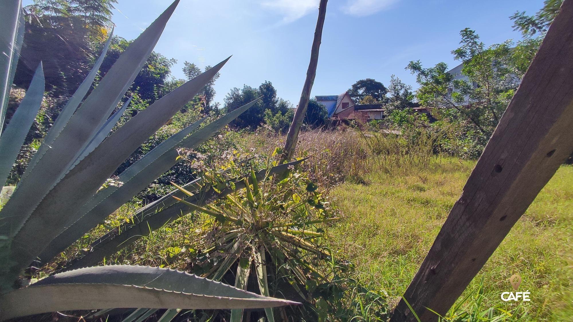 Terreno, 300 m² - Foto 1