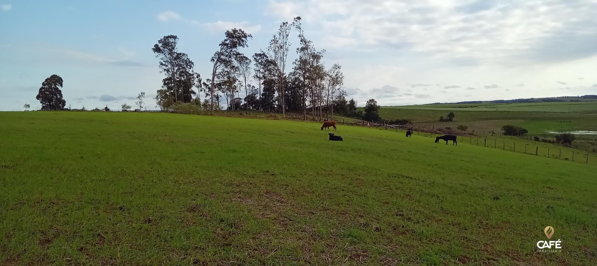 Loteamento e Condomínio à venda, 15200000000m² - Foto 16