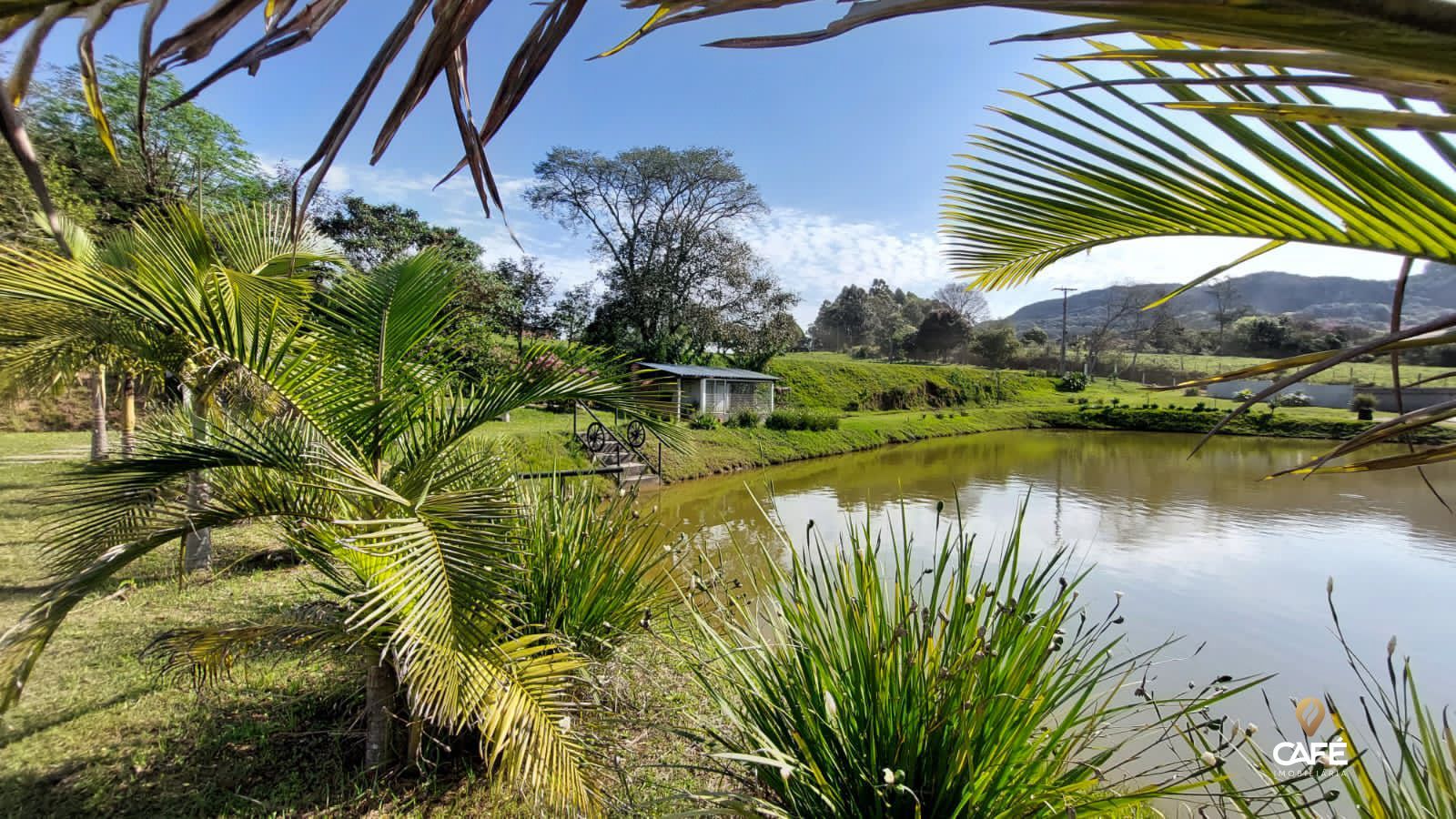 Sítio à venda com 3 quartos, 190m² - Foto 15