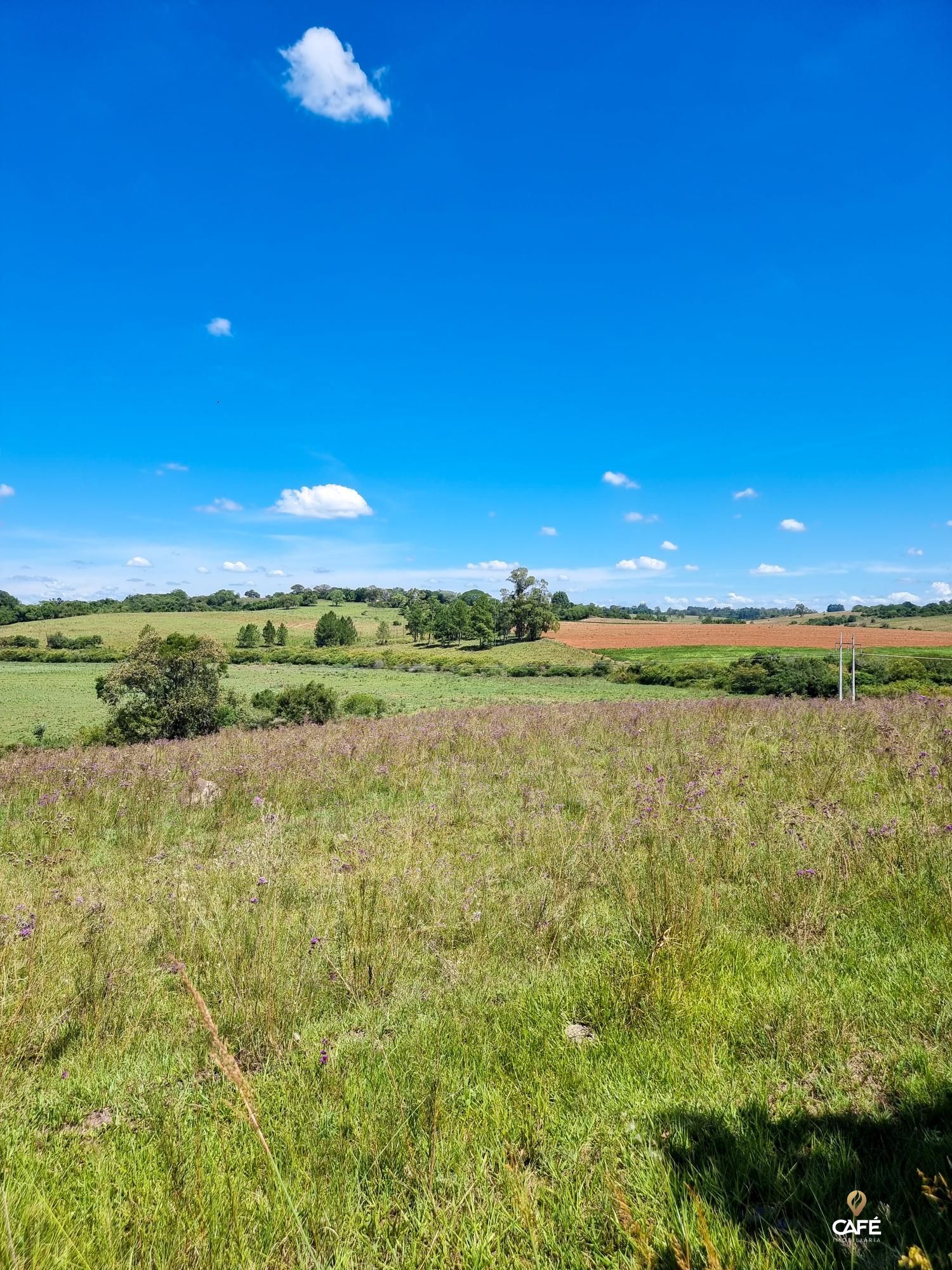 Loteamento e Condomínio à venda, 500000000m² - Foto 5