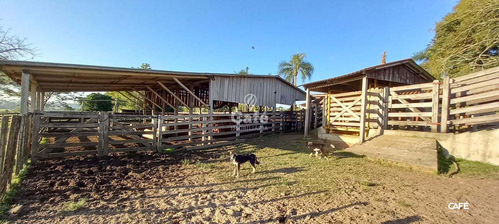 Loteamento e Condomínio à venda, 600000m² - Foto 7