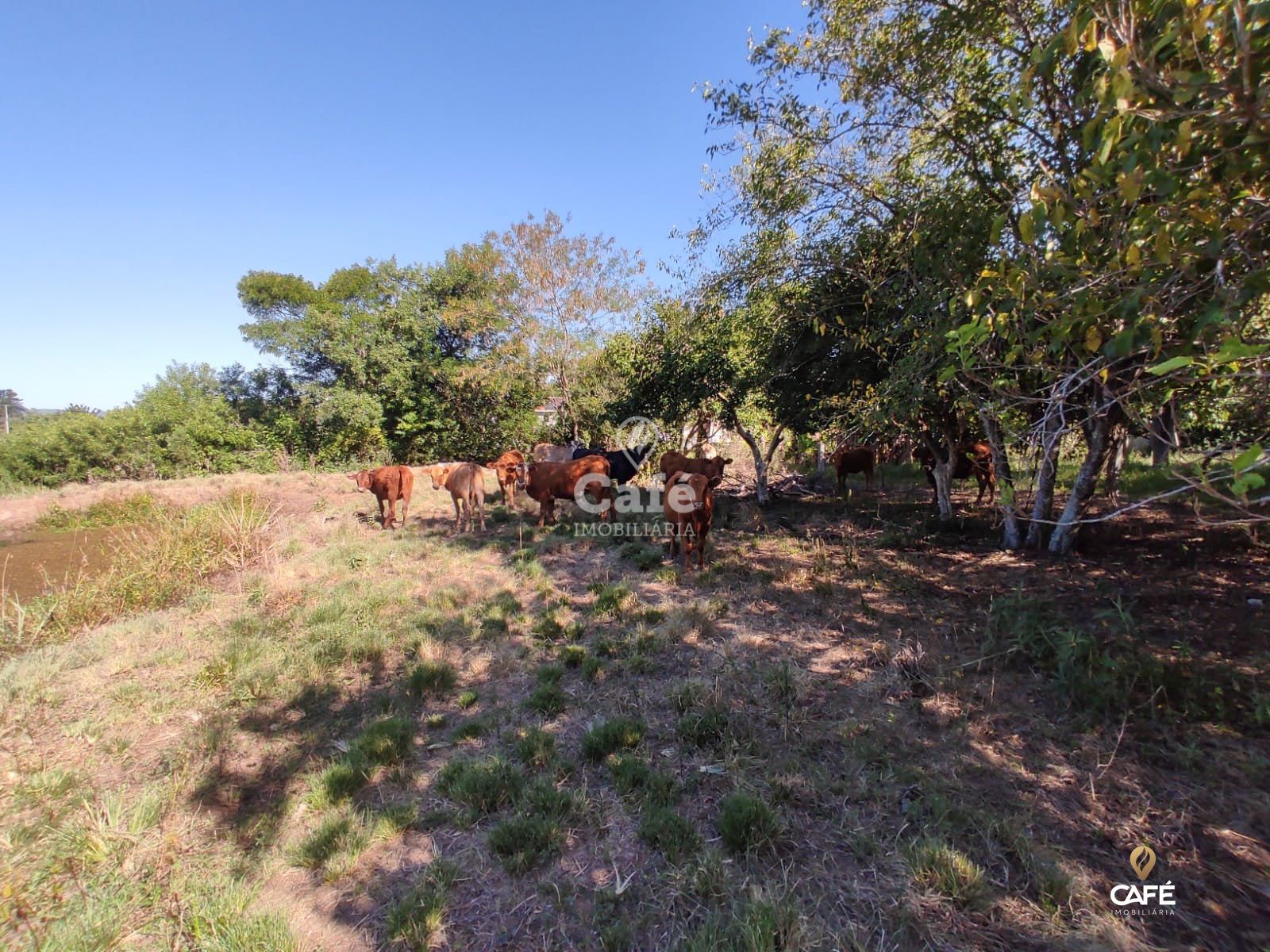 Terreno à venda, 37m² - Foto 21