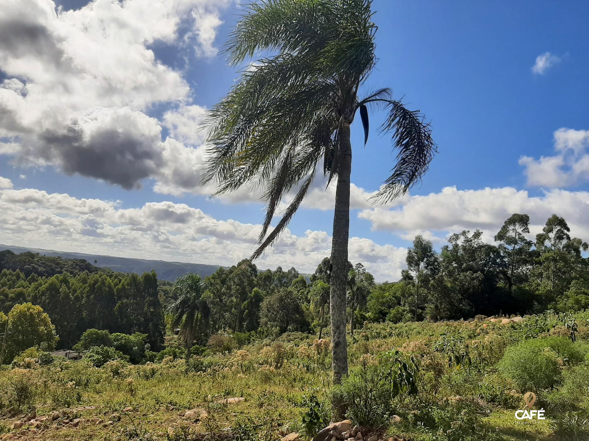 Loteamento e Condomínio à venda, 400000000m² - Foto 5