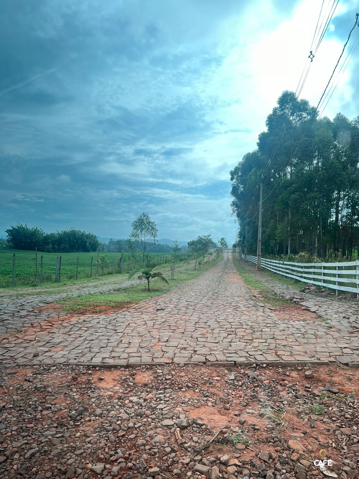 Terreno à venda, 800m² - Foto 4