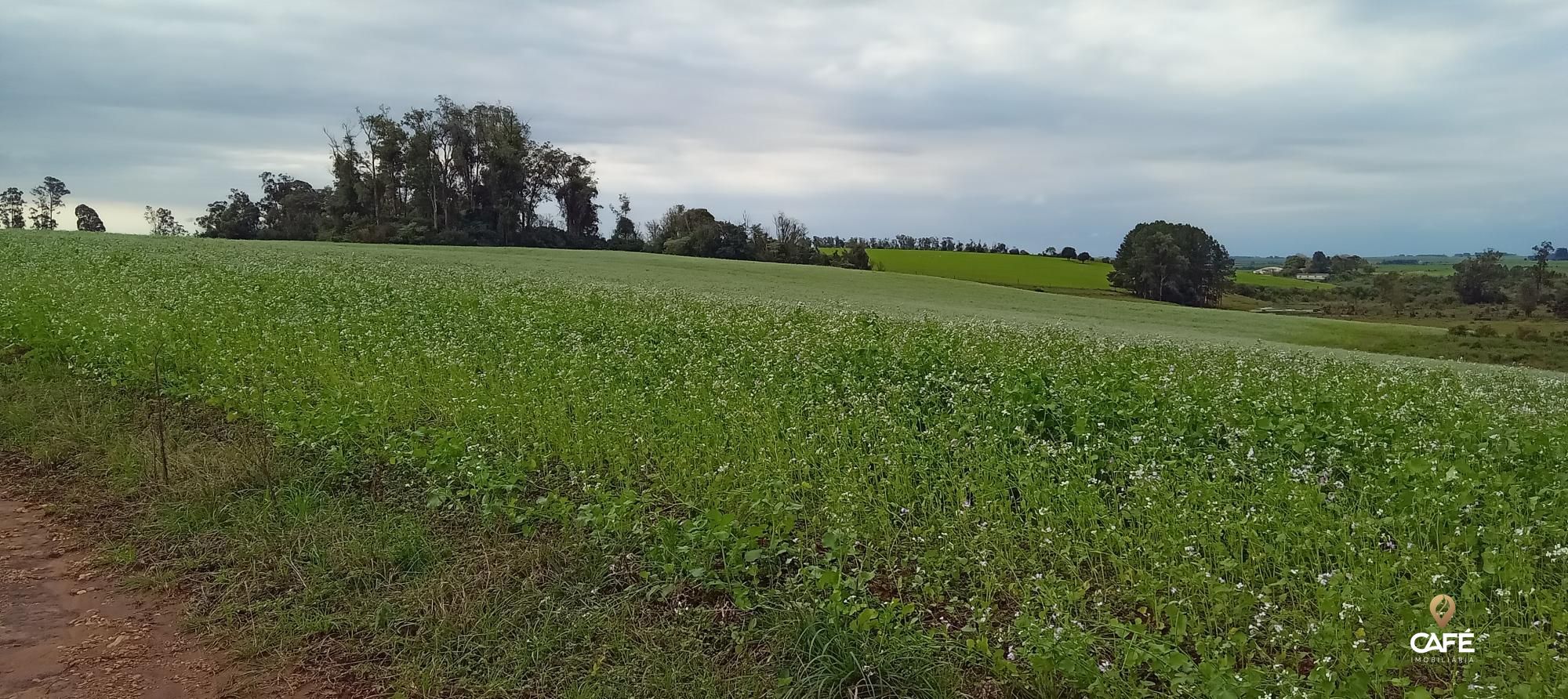 Loteamento e Condomínio, 1520000 hectares - Foto 2