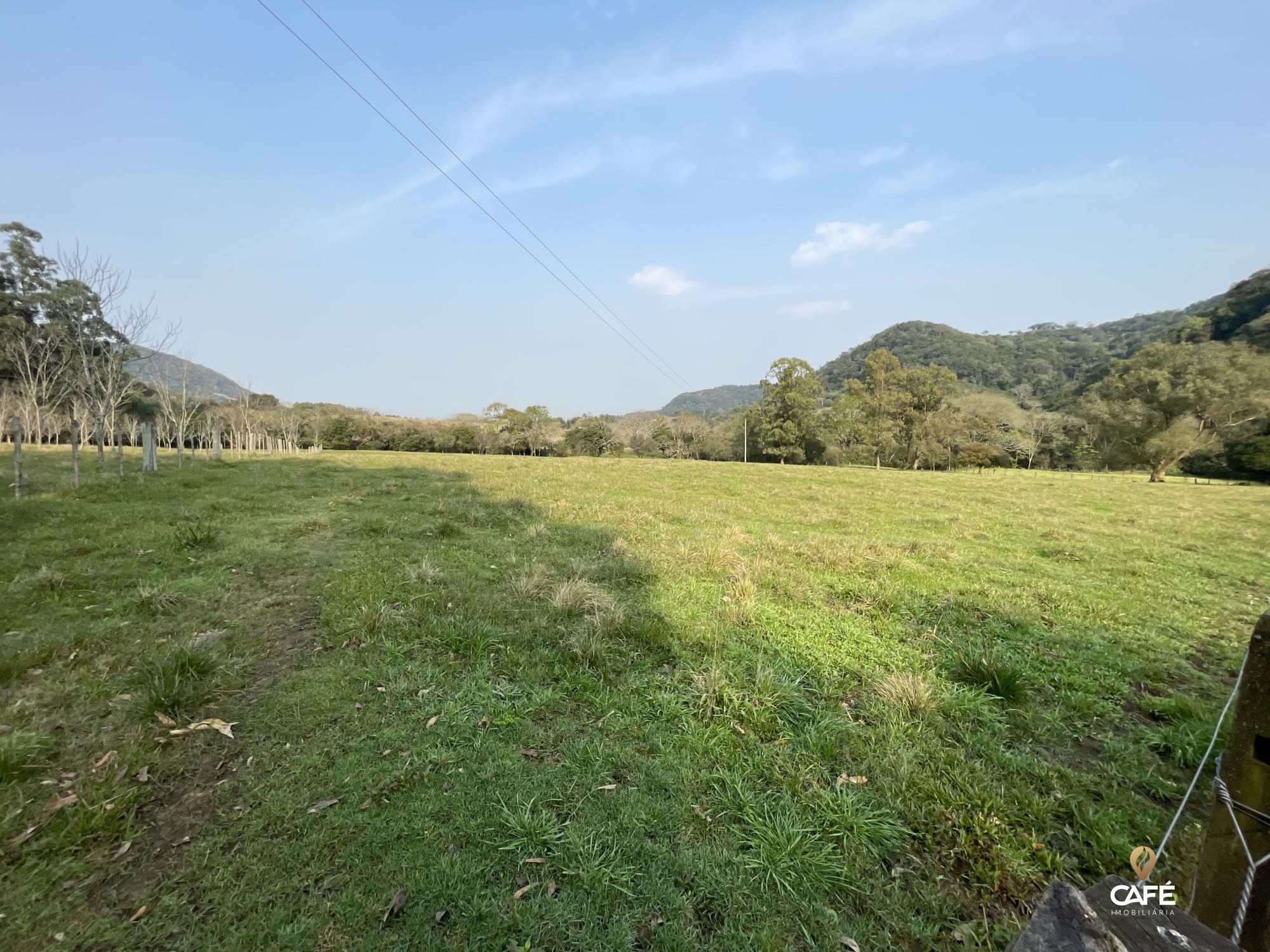 Fazenda à venda com 4 quartos, 240000m² - Foto 47