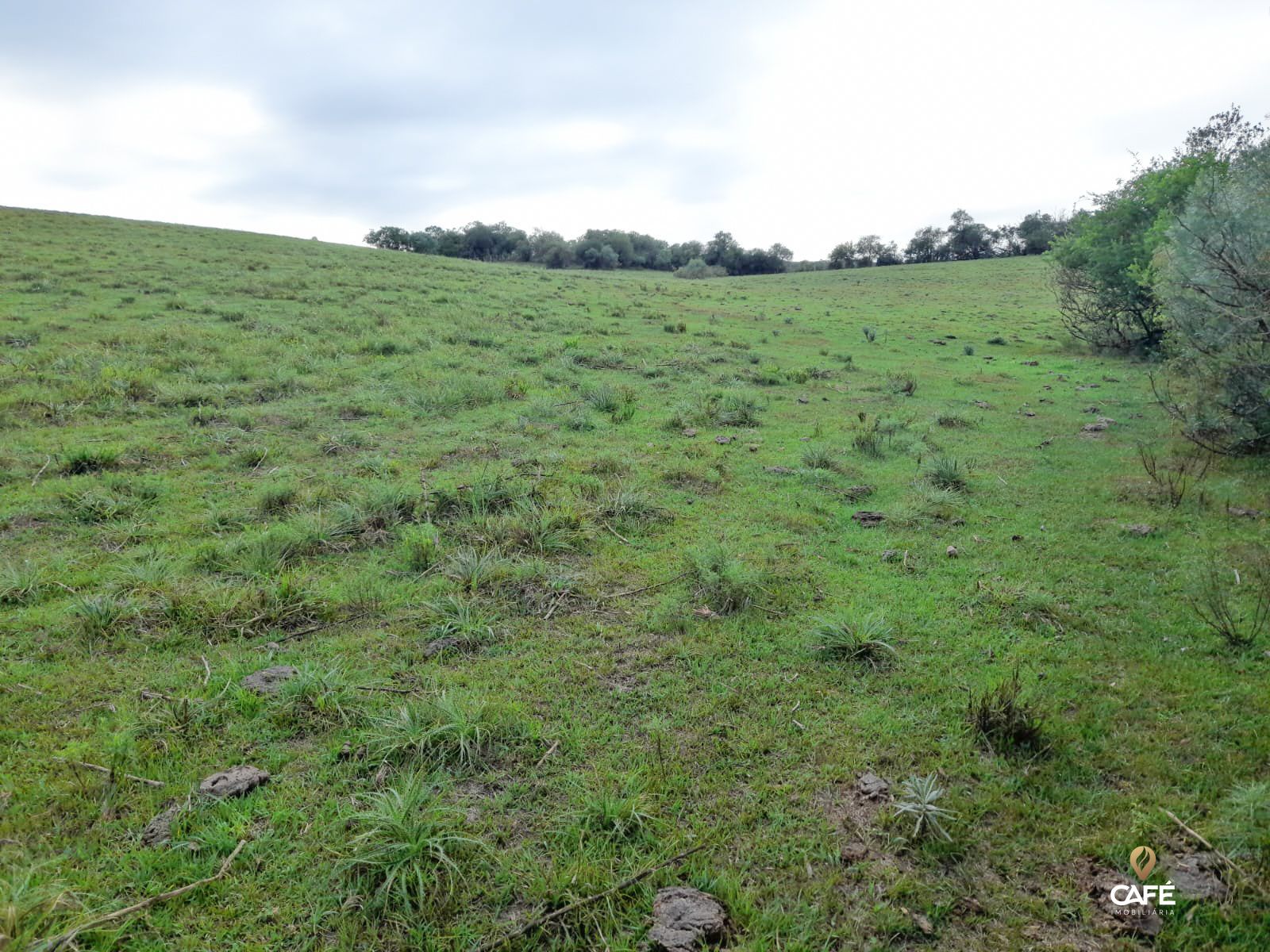 Fazenda à venda com 2 quartos, 100m² - Foto 3