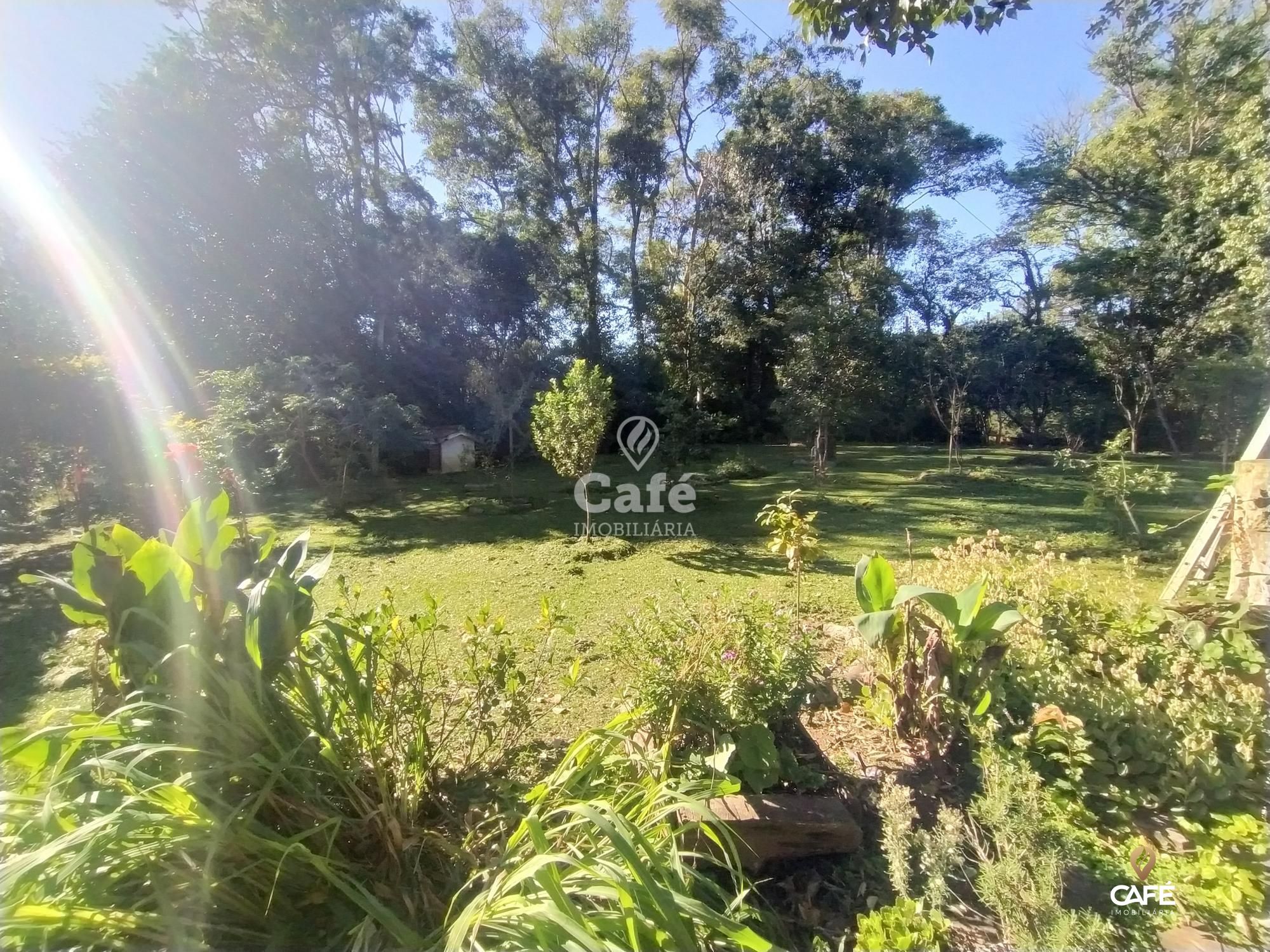 Chácara, 4 quartos, 20000 hectares - Foto 12