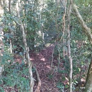 Chácara à venda, 350000000m² - Foto 5