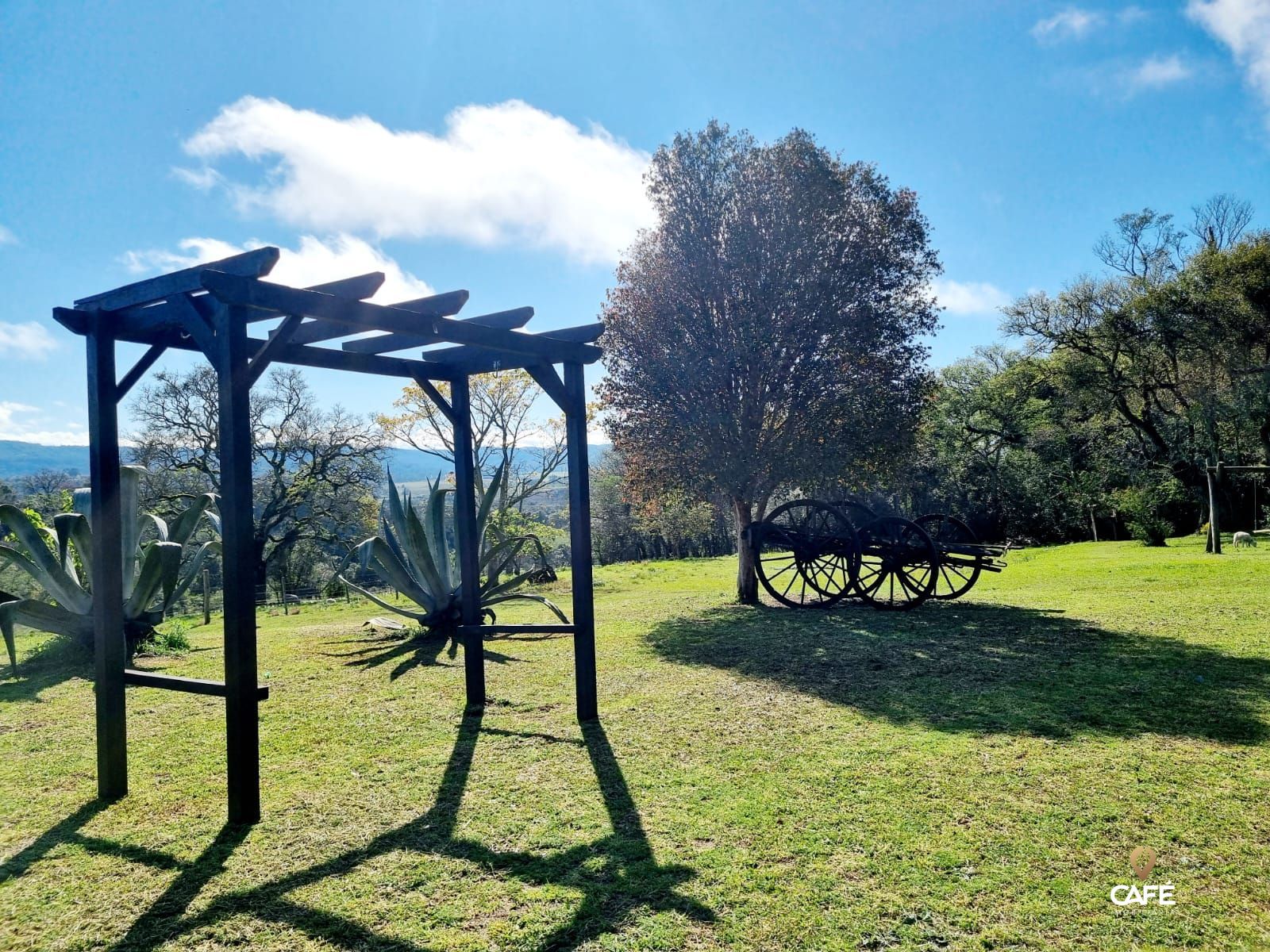 Terreno, 190000 hectares - Foto 4