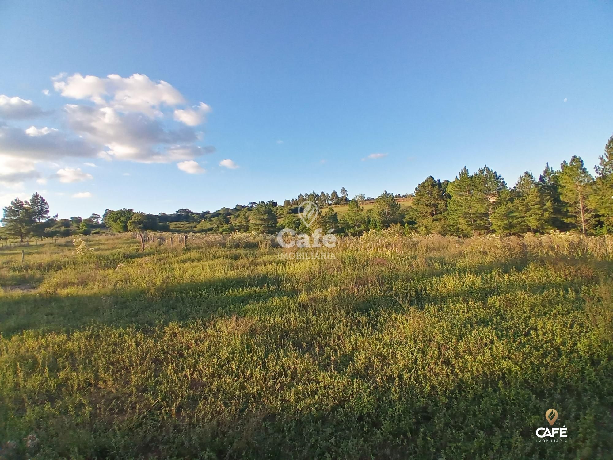 Fazenda à venda com 2 quartos, 350000000m² - Foto 5