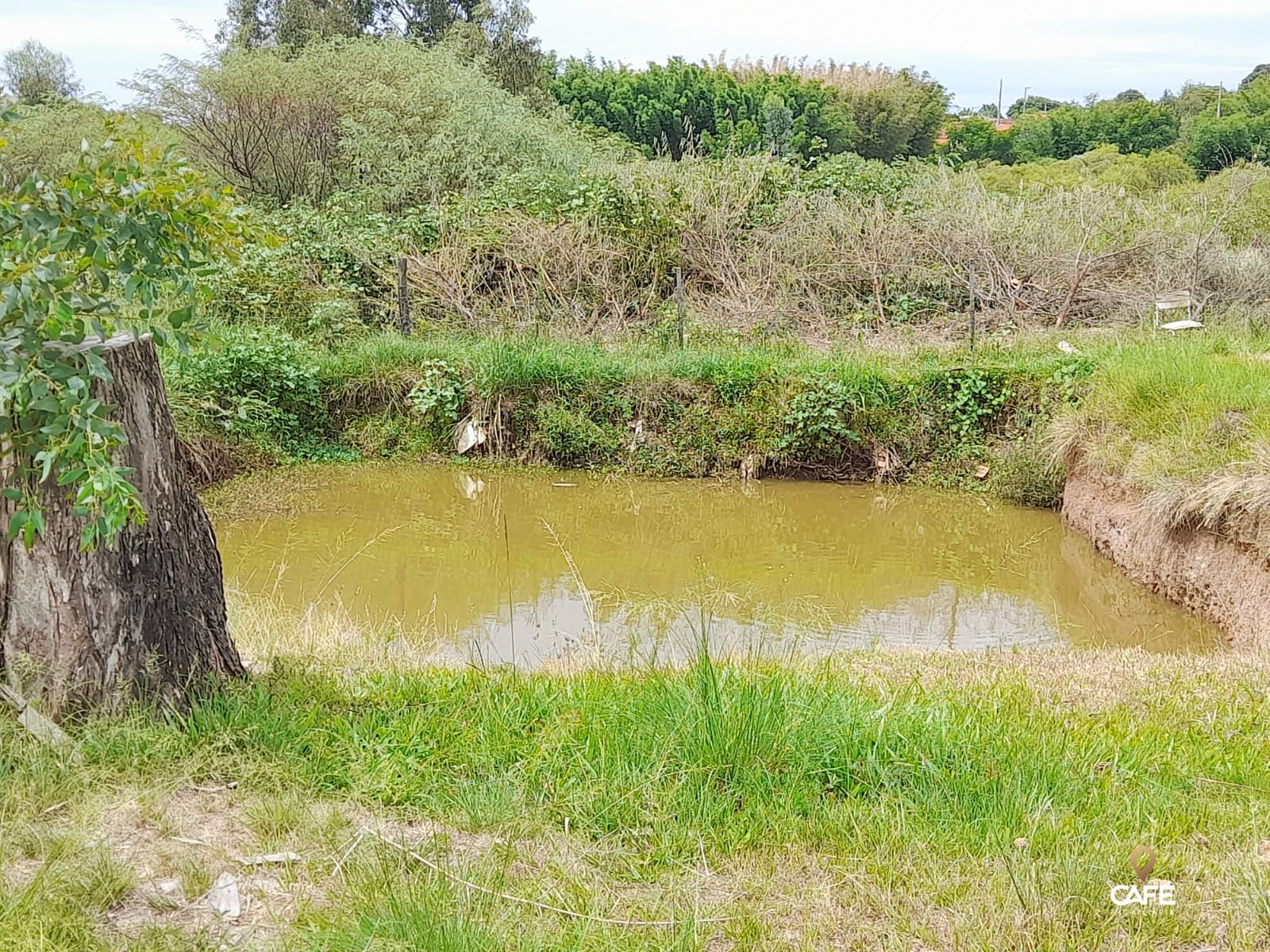 Sítio à venda com 3 quartos, 180m² - Foto 6