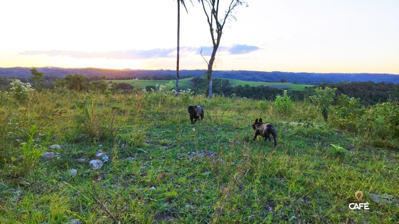 Loteamento e Condomínio à venda, 400000000m² - Foto 9