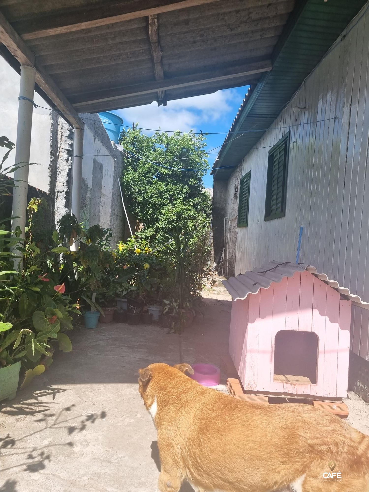 Terreno, 360 m² - Foto 3