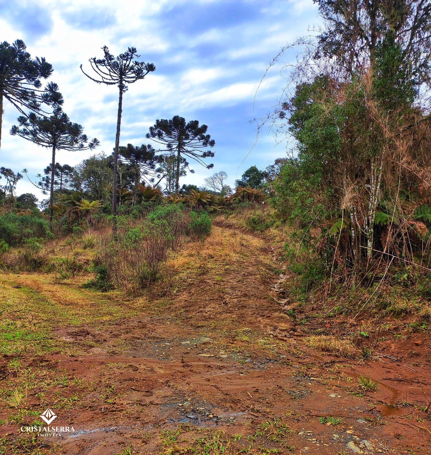 Lote/Terreno de 2m² no bairro Zona Rural, em Urubici | Eu Corretor