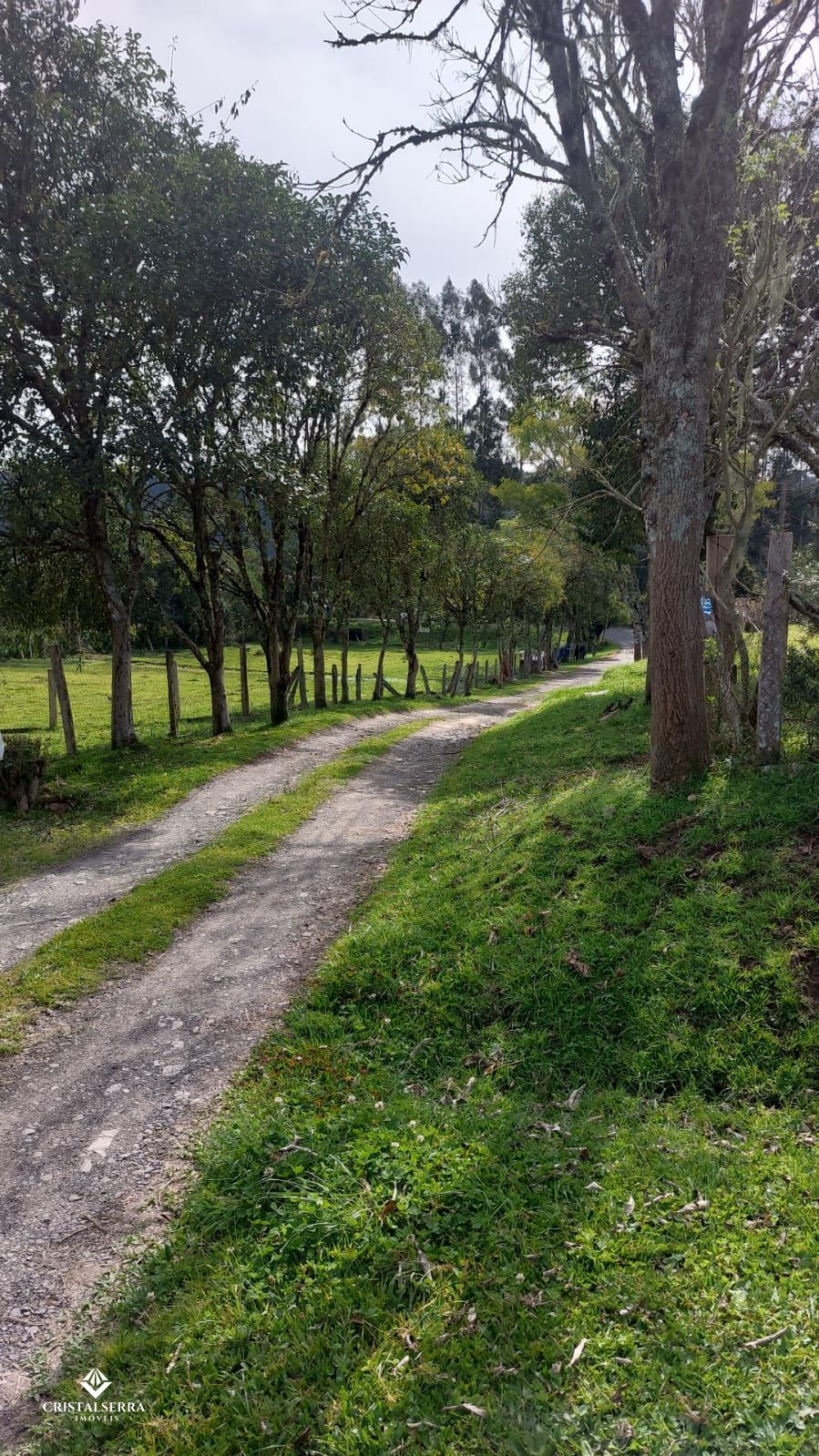 Chácara de 3 quartos, 13999m² no bairro Águas Brancas, em Urubici | Eu Corretor